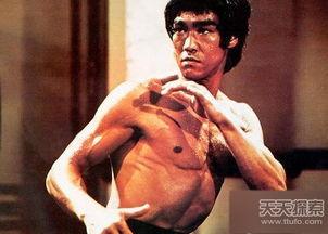 功夫 明星