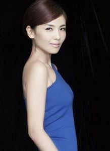 刘涛资料 个人资料,璀璨星途，多面才女的人生篇章