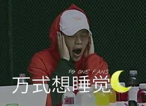 pg oen表情包,潮流文化中的个性演绎