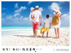 岚成员家庭背景,揭秘他们的家庭背景与成长故事